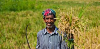 কৃষিখাতে ৯ হাজার কোটি টাকা ভর্তুকি, ৫ হাজার কোটি টাকা প্রণোদনা