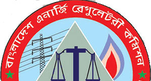 মনগড়া বিদ্যুৎ বিল বিইআরসি আইনের লঙ্ঘন, ক্যাবের নোটিশ; রিট হচ্ছে হাইকোর্টে