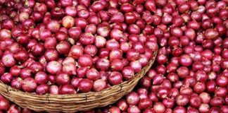 পেঁয়াজ নিয়ে প্যাঁচাল