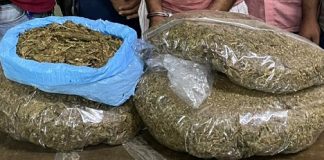 রাজধানীতে ১০ হাজার পিস ইয়াবা ও ৬ কেজি গাঁজা উদ্ধার