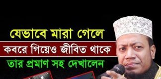 উগ্রবাদ ছড়ানোর অভিযোগে মুফতি আমির হামজা আটক