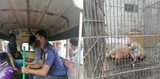 বঙ্গভ্যাক্স টিকা পরীক্ষা; বানর ধরতে গিয়ে গাজীপুরে জনতার রোষানলে গ্লোব কোম্পানীর ৫ জন, উদ্ধার করে পুলিশ