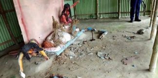 বগুড়ায় মন্দিরে ঢুকে প্রতিমা ভাঙচুর