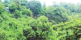 কক্সবাজারে প্রশাসন একাডেমির জন্য বরাদ্দ ৭০০ একর বনভূমির লিজ হাইকোর্টে স্থগিত